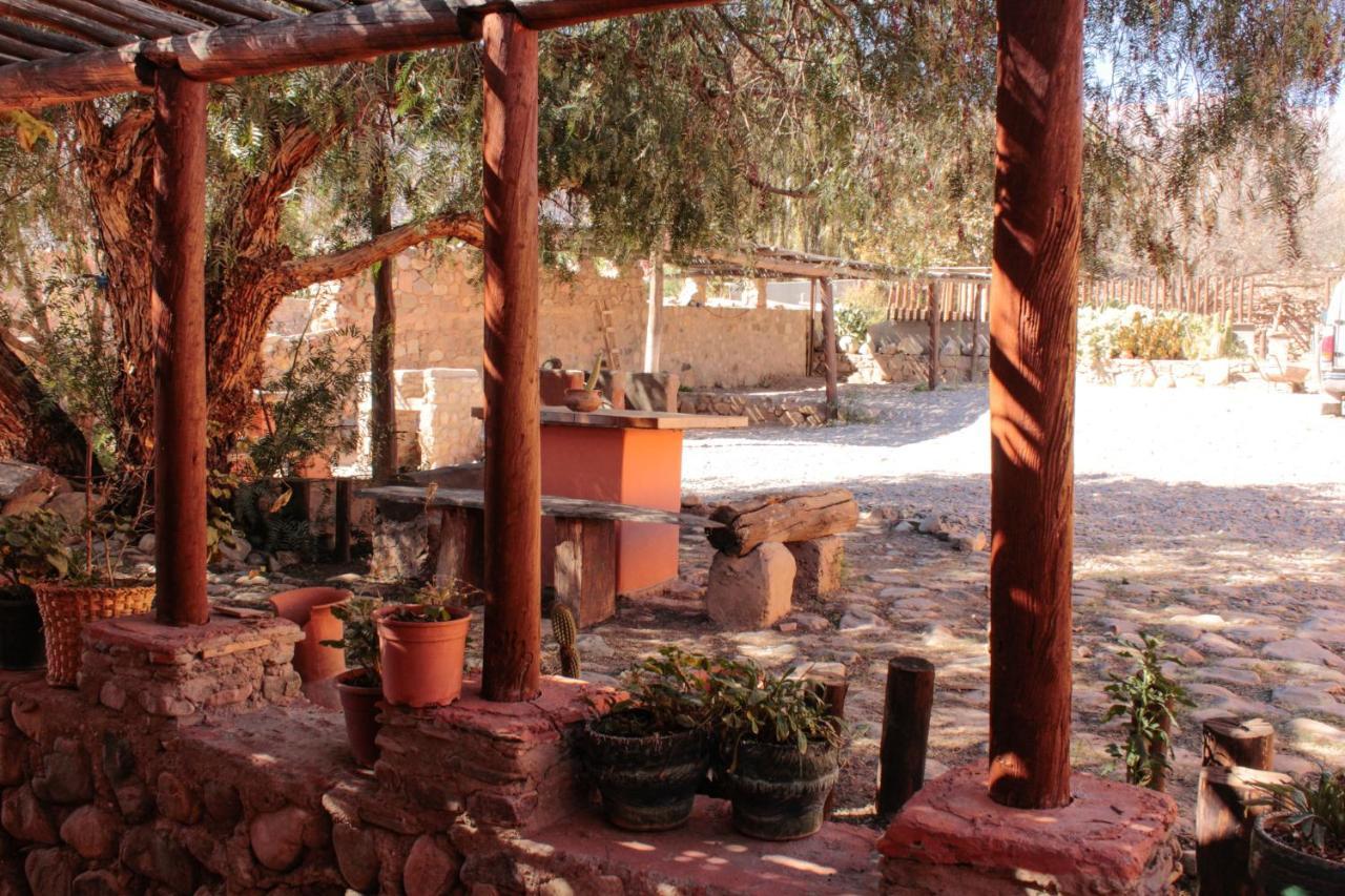 Tierra Andina Hostal Y Cabanas ตีลการา ภายนอก รูปภาพ