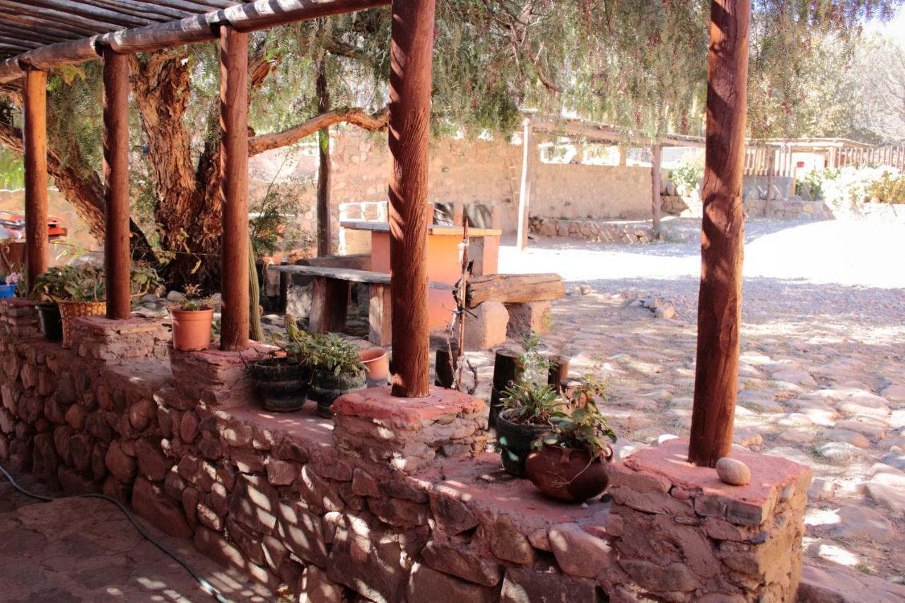 Tierra Andina Hostal Y Cabanas ตีลการา ภายนอก รูปภาพ